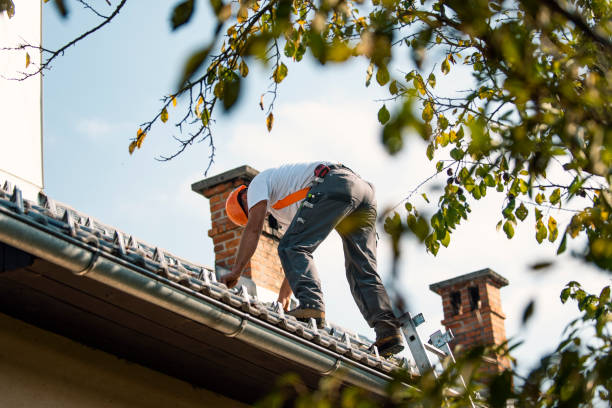 Best Commercial Roofing Services  in Evergreen, CO