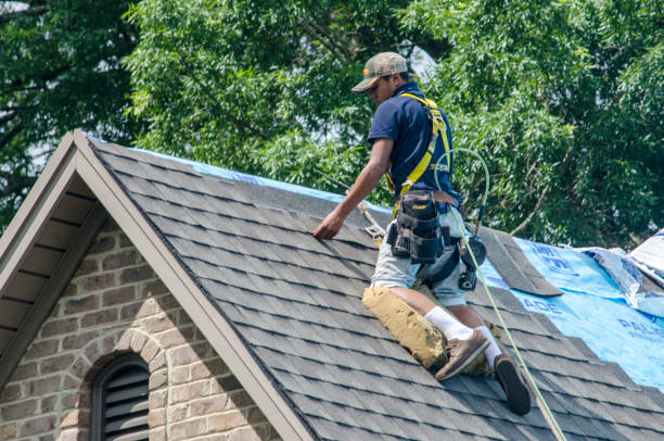 Best Roof Gutter Cleaning  in Evergreen, CO